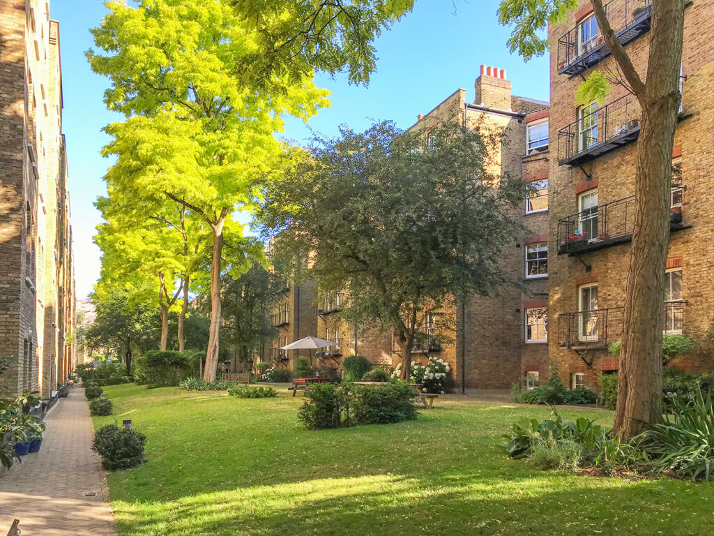 The communal gardens looking splendid in summer