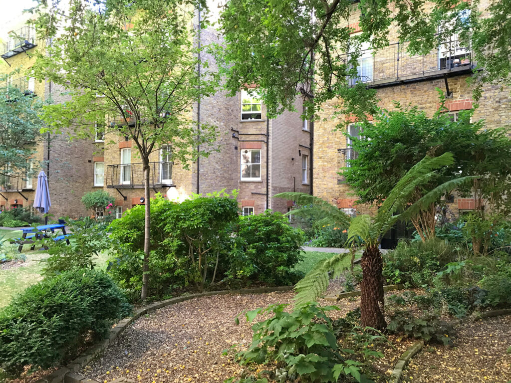 A view of the communal gardens at the rear of Morshead Mansions in summer