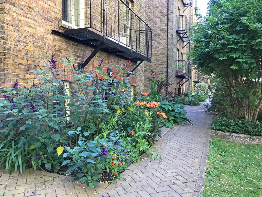 A view of the communal gardens at the rear of Morshead Mansions in summer with beautiful flowers in bloom