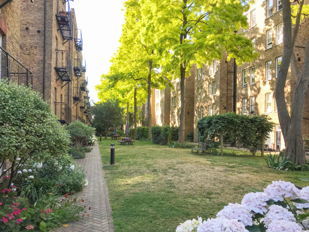 A view of the communal gardens at the rear of Morshead Mansions in summer