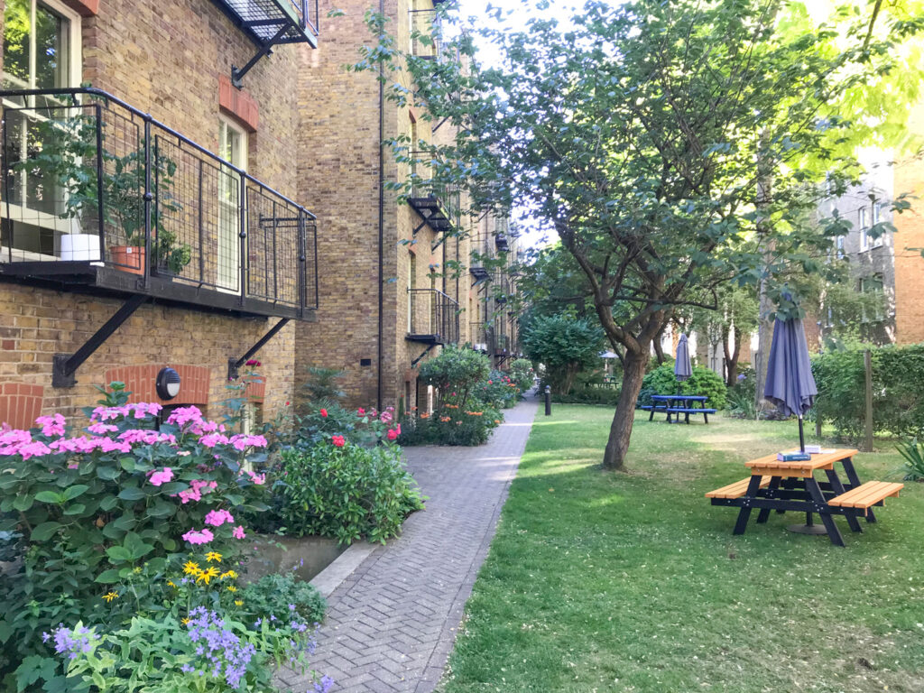 A view of the communal gardens at the rear of Morshead Mansions in summer