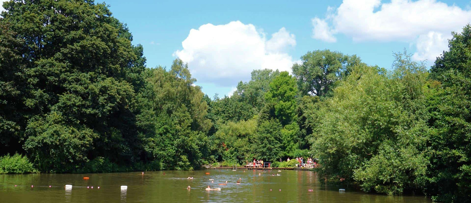 Swimming near Morshead Mansions