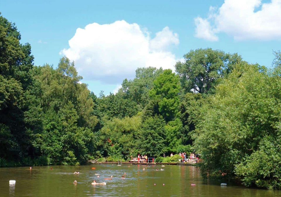 Swimming near Morshead Mansions